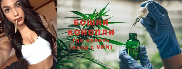 трава Кущёвская