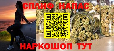 гидропоника Гусев