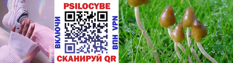 что такое   Калуга  Галлюциногенные грибы GOLDEN TEACHER 