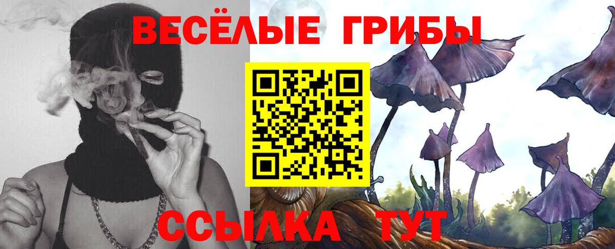 Калуга  наркота  Псилоцибиновые грибы Cubensis  Вход с VPN  Галлюциногенные грибы Magic Shrooms 